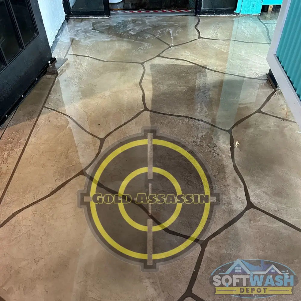 Gold Assassin Heavy Duty Degreaser