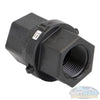 1" FNPT Polypropylene Check Valve with EPDM Seal
